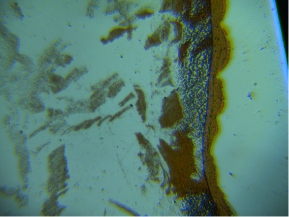ATR8300(Mapping)全自動對焦顯微激光拉曼掃描成像光譜儀