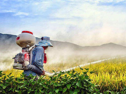 拉曼光譜儀在蔬菜水果食品農藥殘留的檢驗優勢