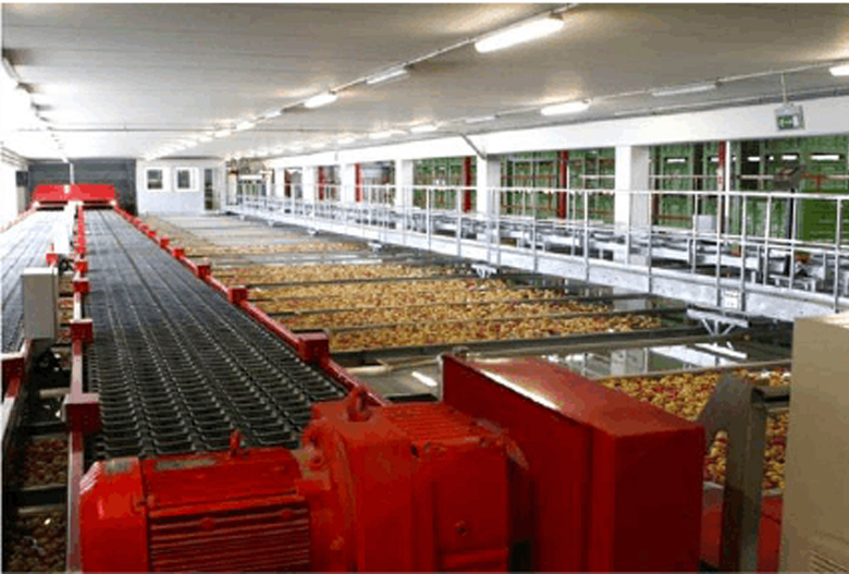 可見近紅外光纖光譜在農業上的運用：水果品質在線無損分選檢測