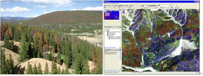 無人機機載型高光譜技術在森林病蟲害監控應用的優勢