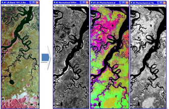 無人機機載型高光譜技術在森林病蟲害監控應用的優勢