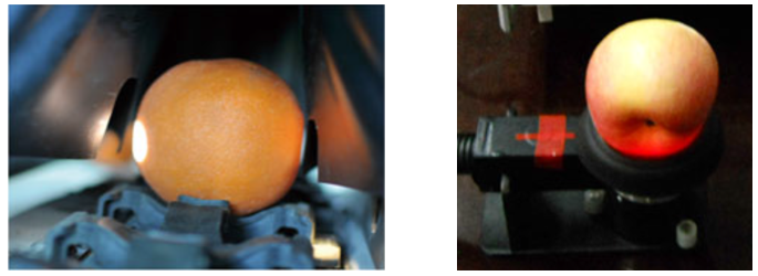 近紅外光纖光譜儀應用詳解：水果實現快速批量分選