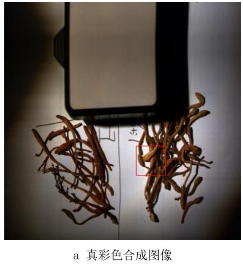 高光譜相機在工業檢測中的應用—金銀花、山銀花中藥材檢測案例