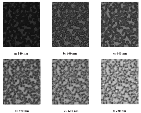 ATH5500-17短波紅外顯微高光譜成像儀