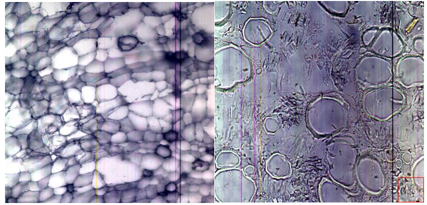 ATH5500-17短波紅外顯微高光譜成像儀