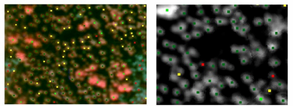 ATH8500_實驗室用高光譜成像儀