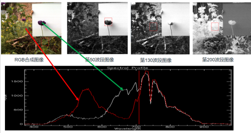 ATH8500_實驗室用高光譜成像儀