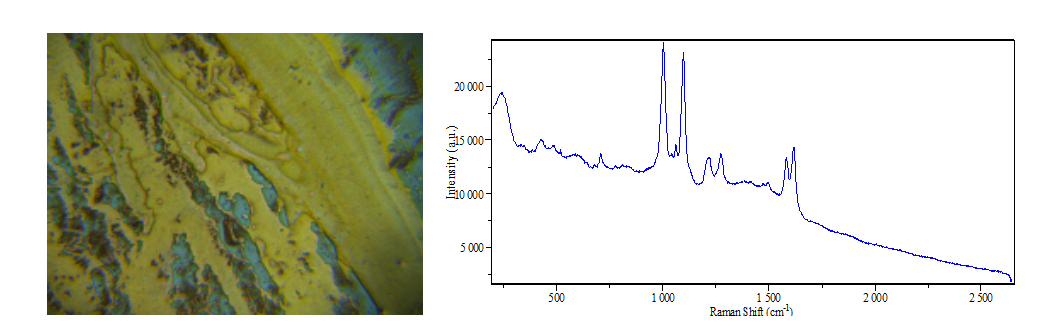 ATR8100_顯微共焦拉曼光譜儀