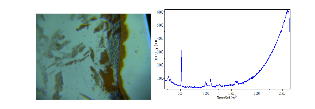 ATR8100-638_顯微共焦拉曼光譜儀