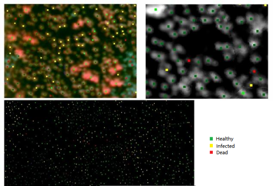 ATH1010L_可見近紅外高光譜成像儀