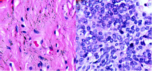 ATH5010_顯微高光譜成像分析系統