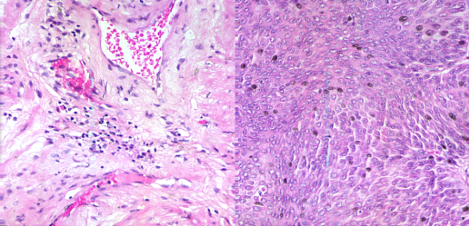 ATH5010_顯微高光譜成像分析系統